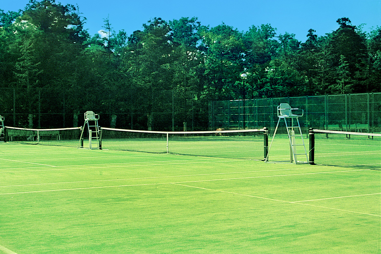 が大特価！ テニスネット 硬式用 黒 テニス用品 ネット コート整備用品 試合 練習 部活動 テニススクール テニスコート 教育施設 運動施設 S- 2343